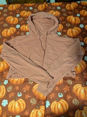 Harlow Cropped Hoodie in Dusty Rose